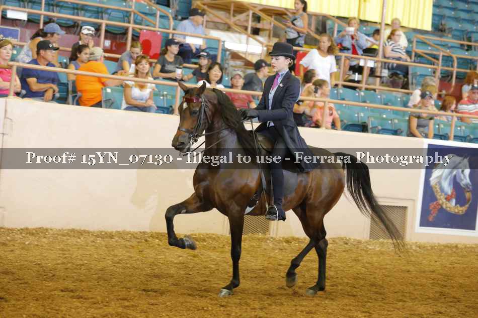 Proof 15YN_07130