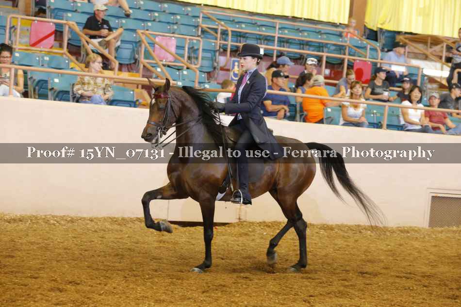 Proof 15YN_07131