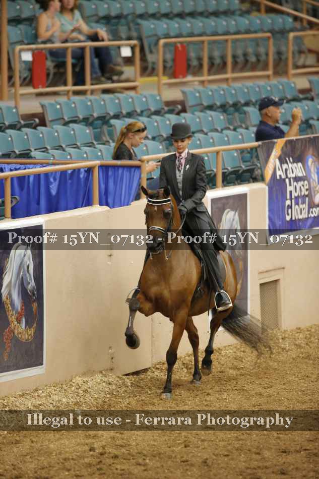 Proof 15YN_07132