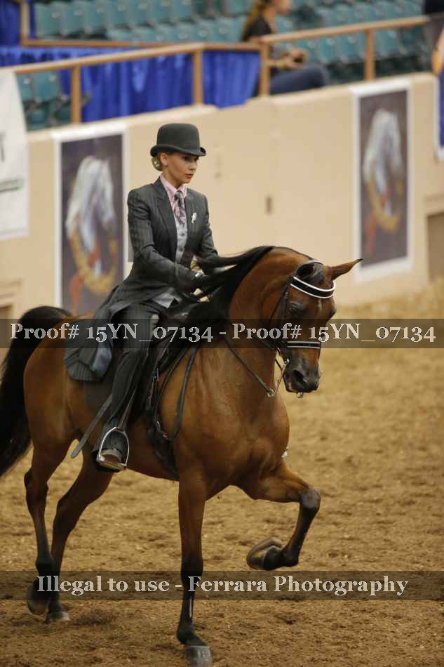 Proof 15YN_07134