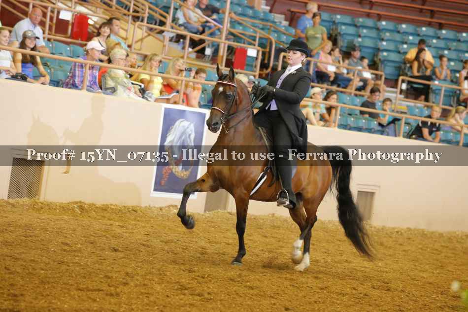 Proof 15YN_07135
