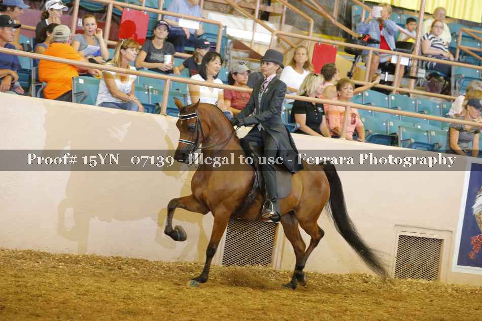 Proof 15YN_07139