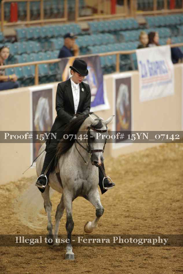 Proof 15YN_07142