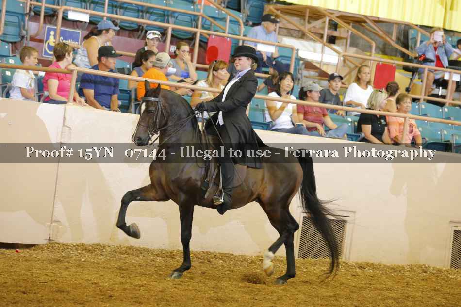 Proof 15YN_07144