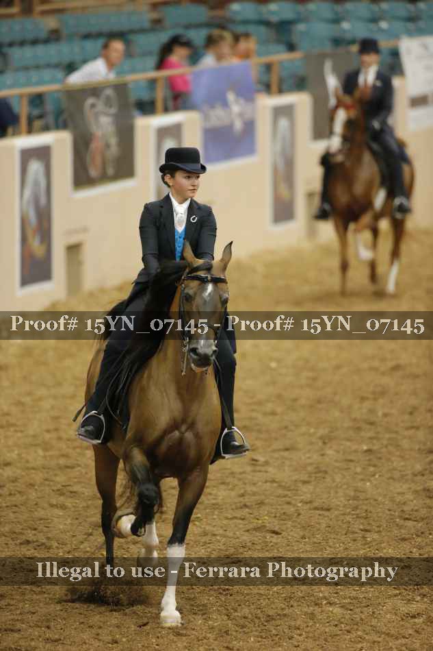 Proof 15YN_07145