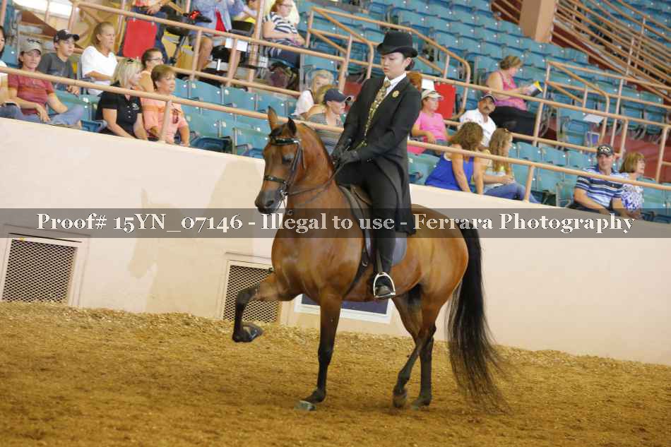 Proof 15YN_07146