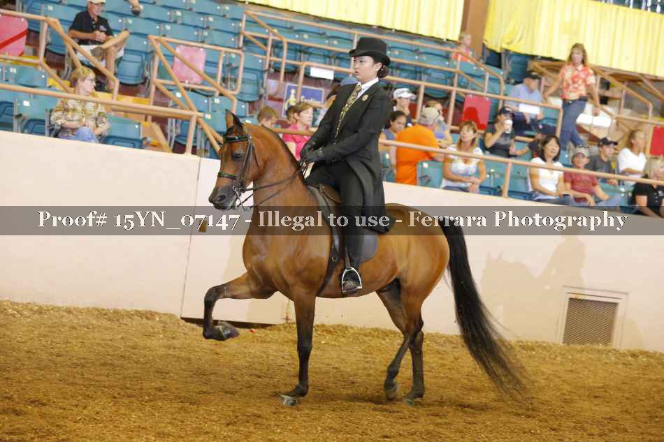 Proof 15YN_07147