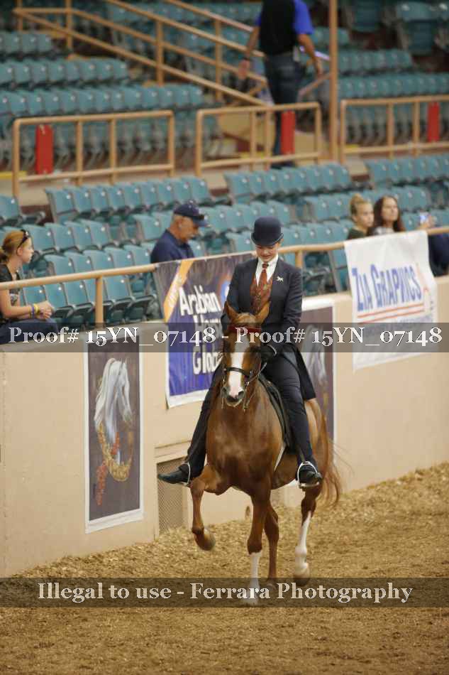 Proof 15YN_07148