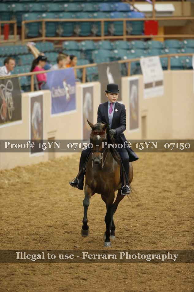 Proof 15YN_07150