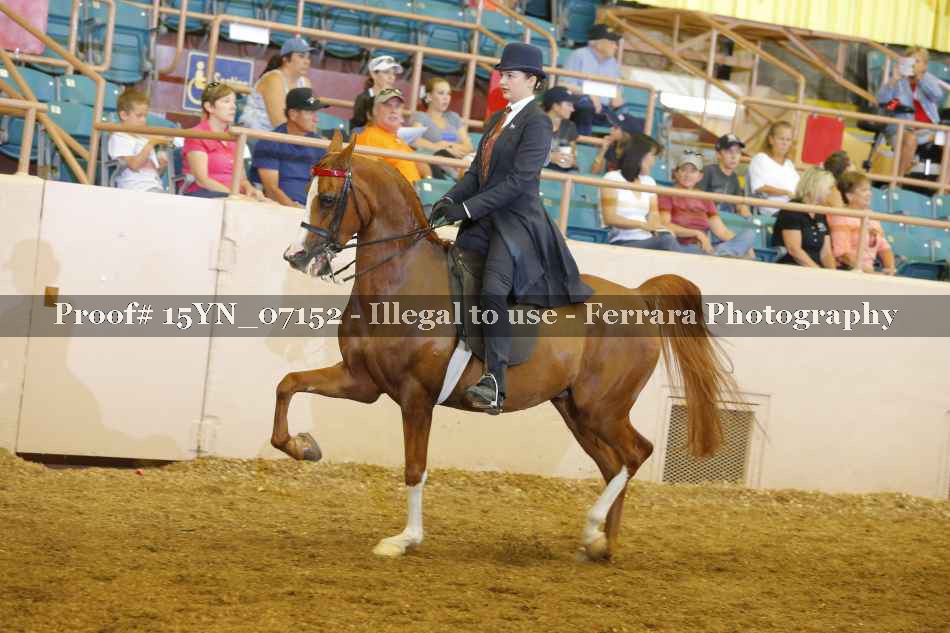 Proof 15YN_07152
