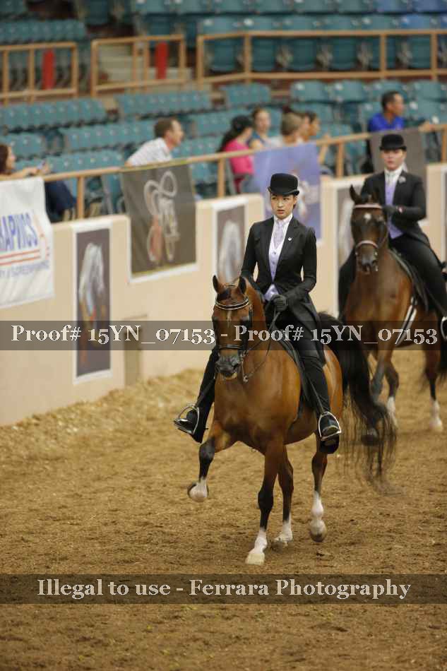 Proof 15YN_07153