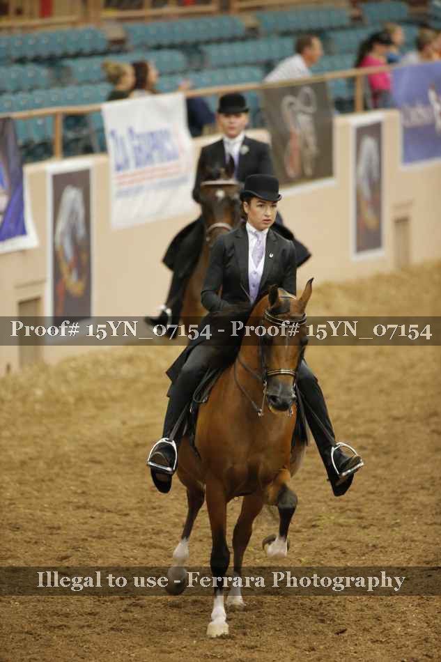 Proof 15YN_07154