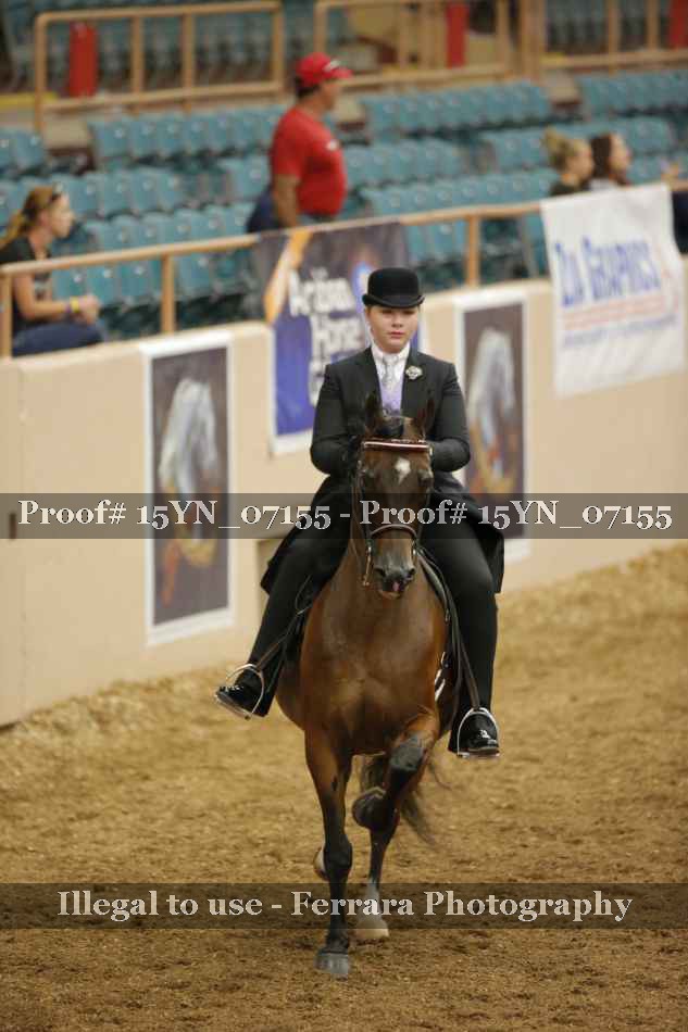 Proof 15YN_07155