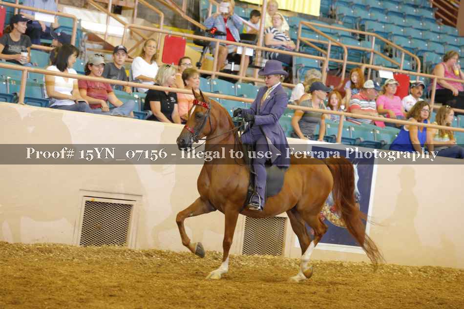 Proof 15YN_07156