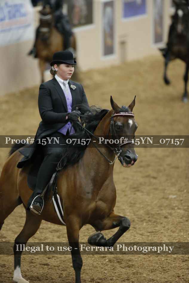 Proof 15YN_07157
