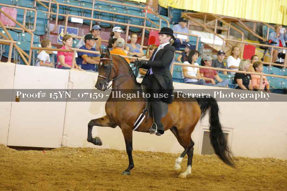 Proof 15YN_07159