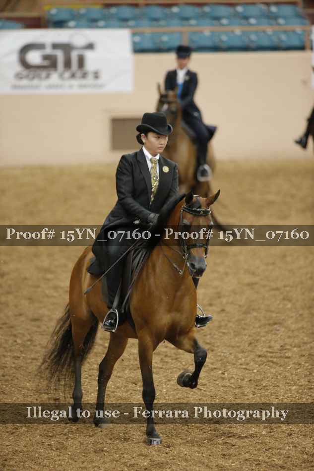 Proof 15YN_07160