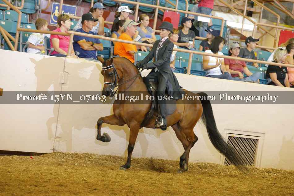 Proof 15YN_07163