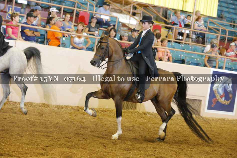 Proof 15YN_07164