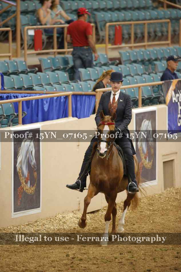 Proof 15YN_07165