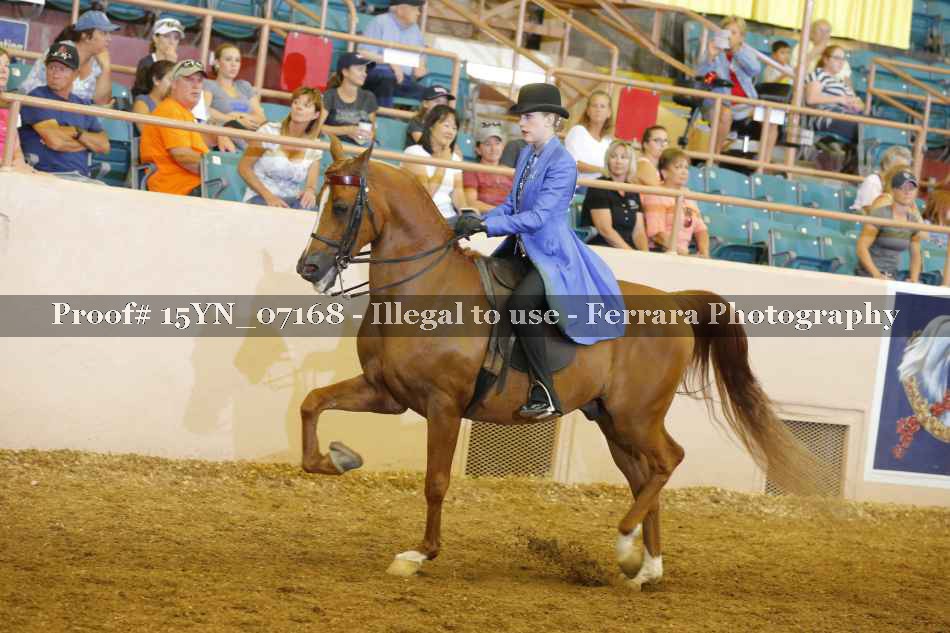 Proof 15YN_07168