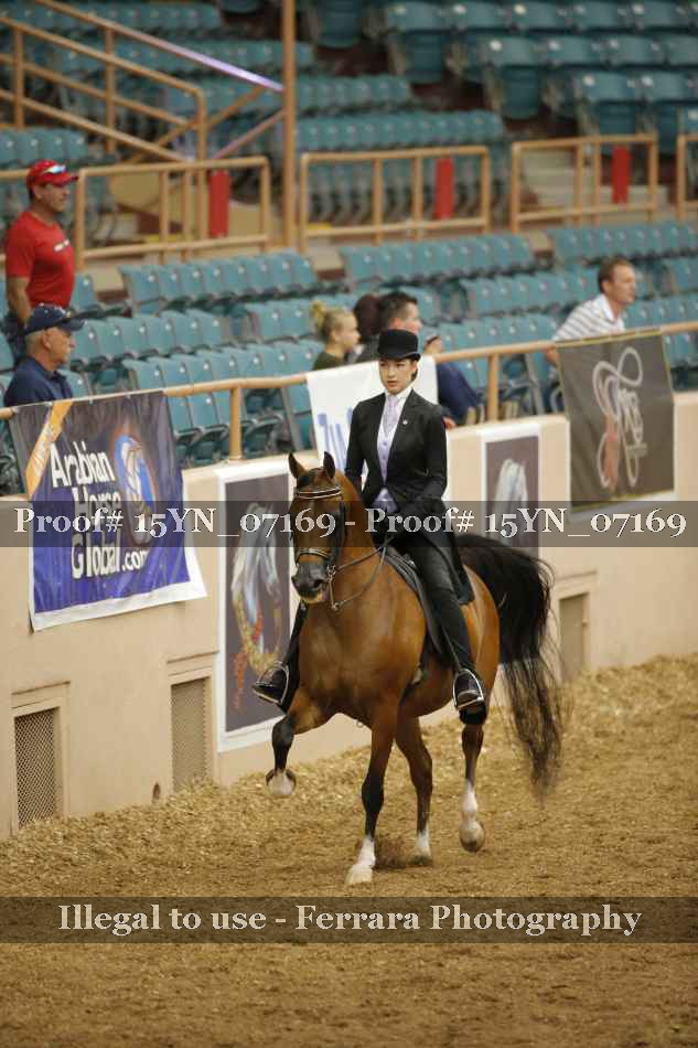 Proof 15YN_07169