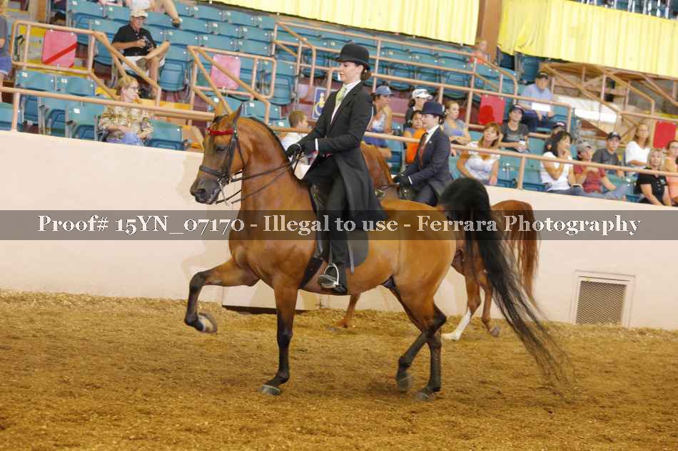 Proof 15YN_07170