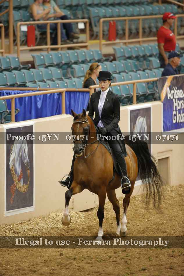 Proof 15YN_07171