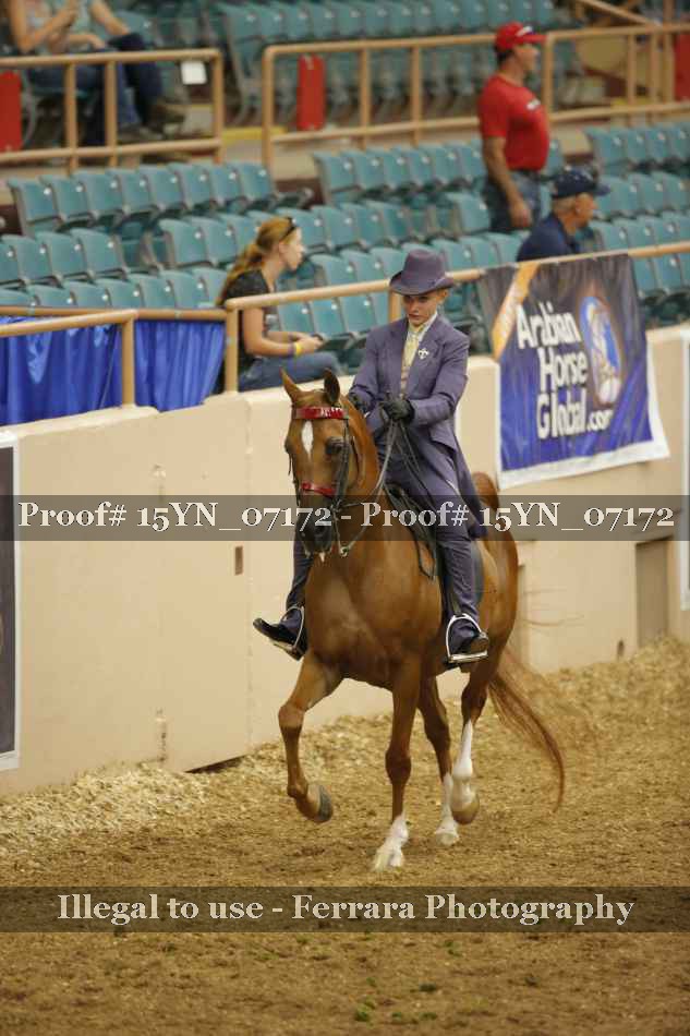Proof 15YN_07172