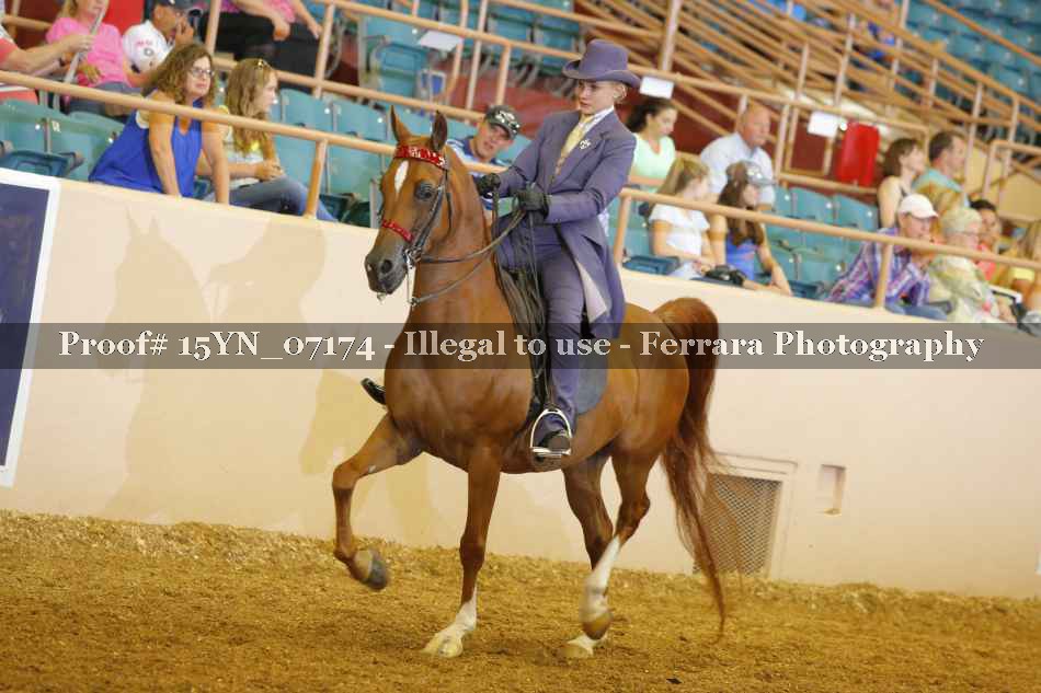 Proof 15YN_07174
