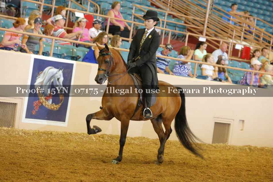 Proof 15YN_07175