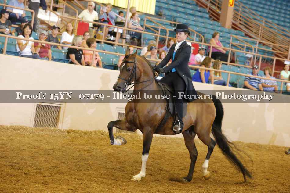 Proof 15YN_07179