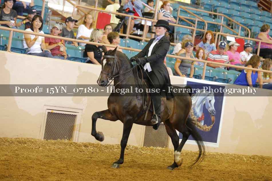 Proof 15YN_07180