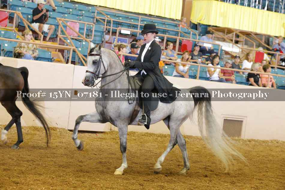 Proof 15YN_07181