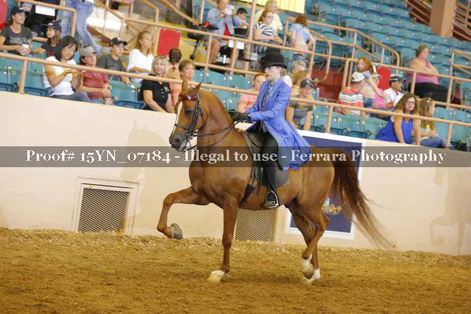 Proof 15YN_07184
