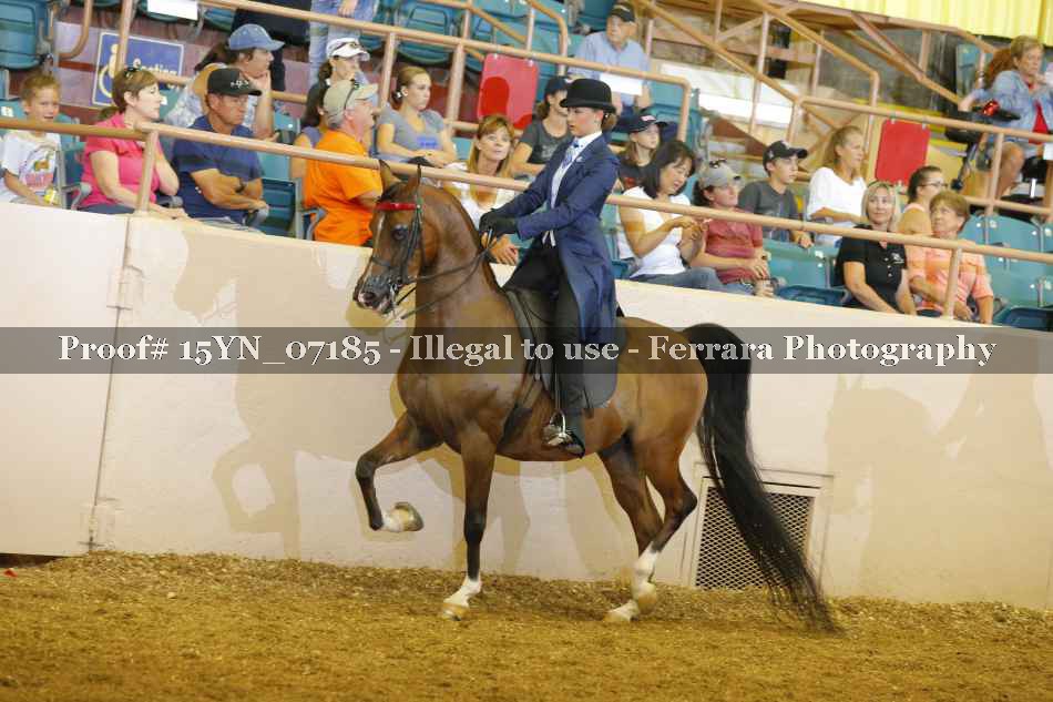 Proof 15YN_07185