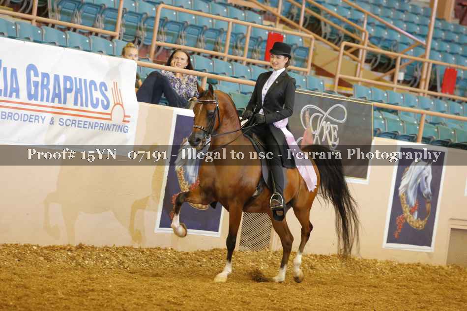 Proof 15YN_07191