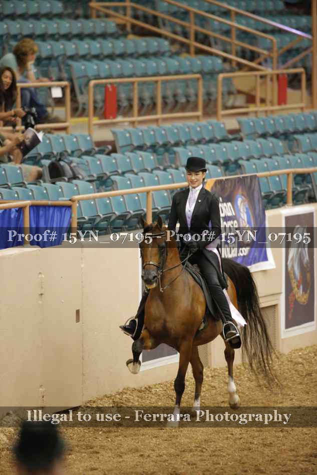 Proof 15YN_07195