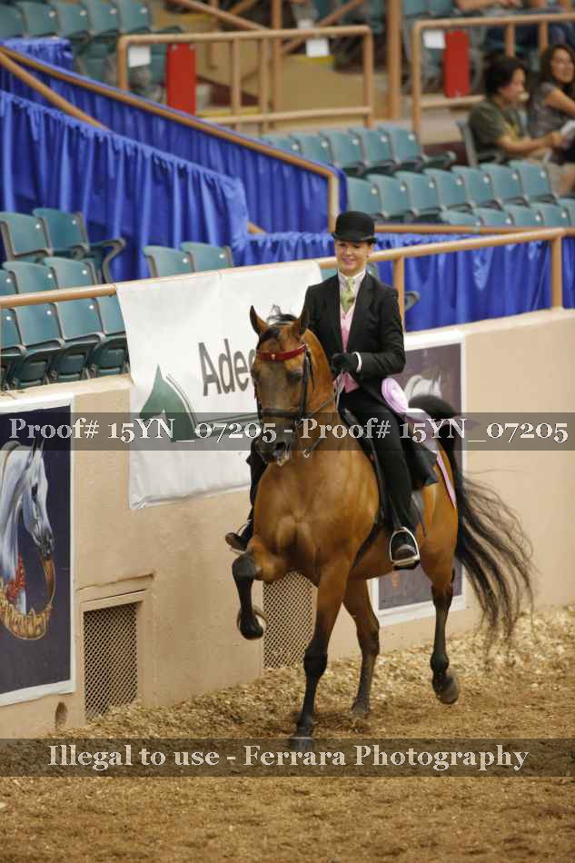 Proof 15YN_07205