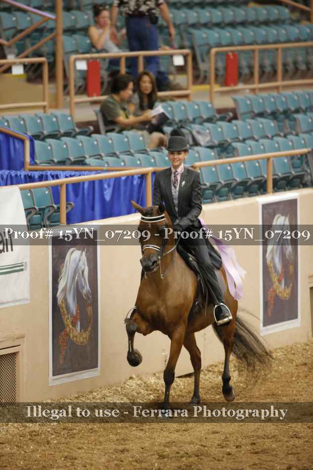 Proof 15YN_07209