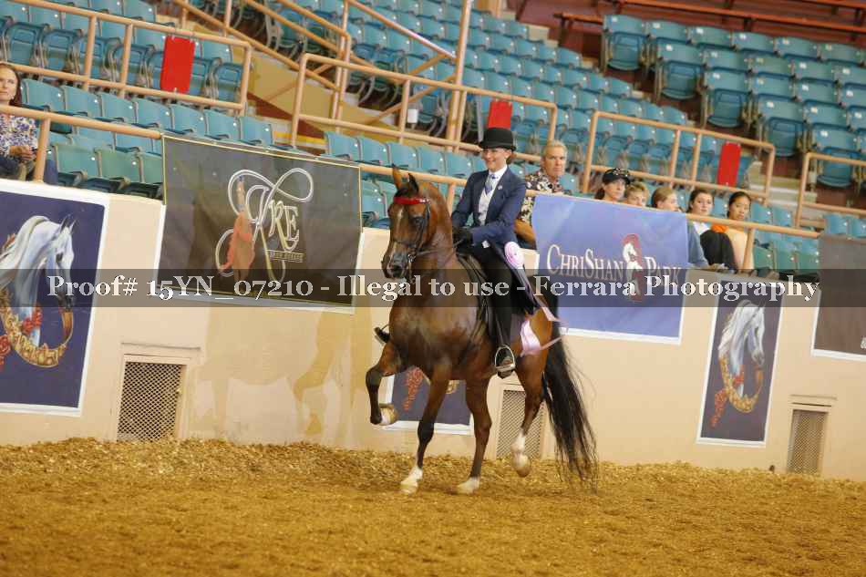 Proof 15YN_07210