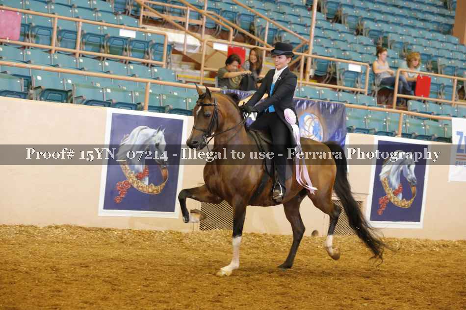 Proof 15YN_07214