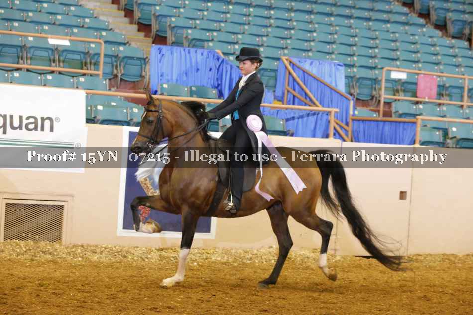 Proof 15YN_07215