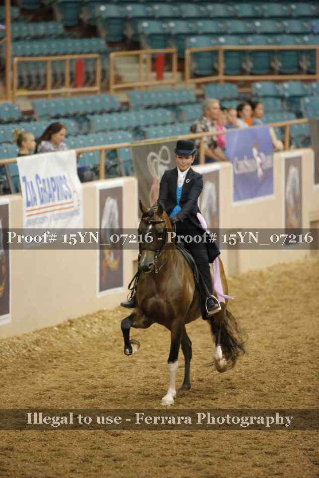 Proof 15YN_07216