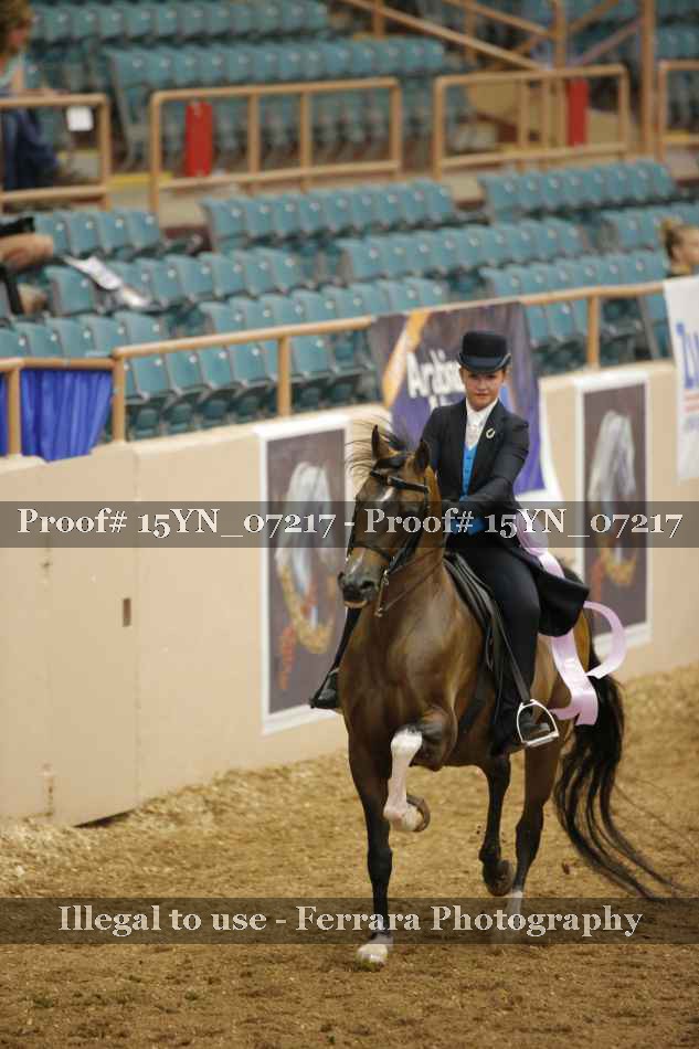 Proof 15YN_07217