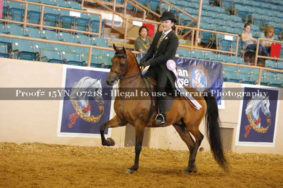 Proof 15YN_07218