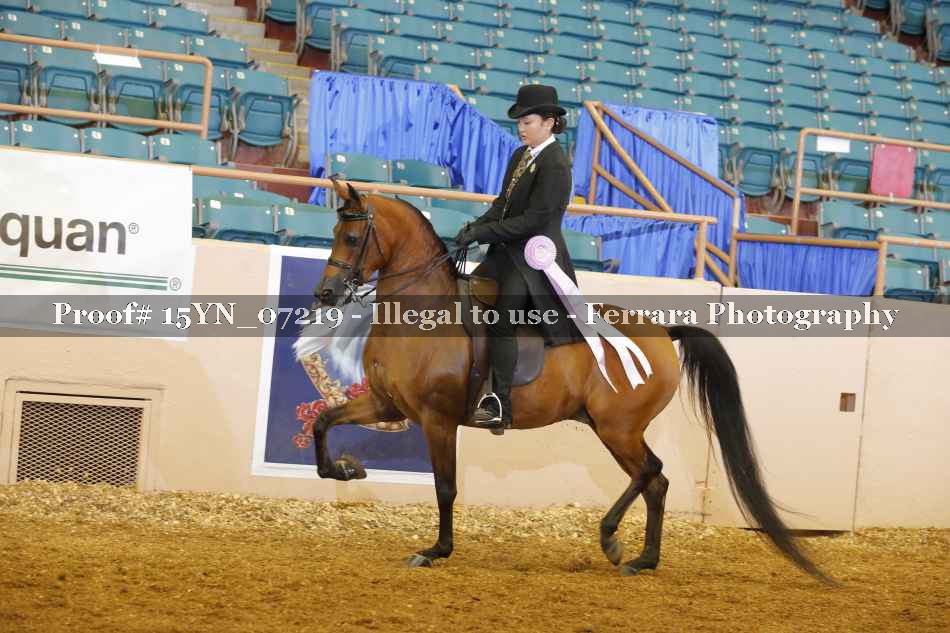 Proof 15YN_07219
