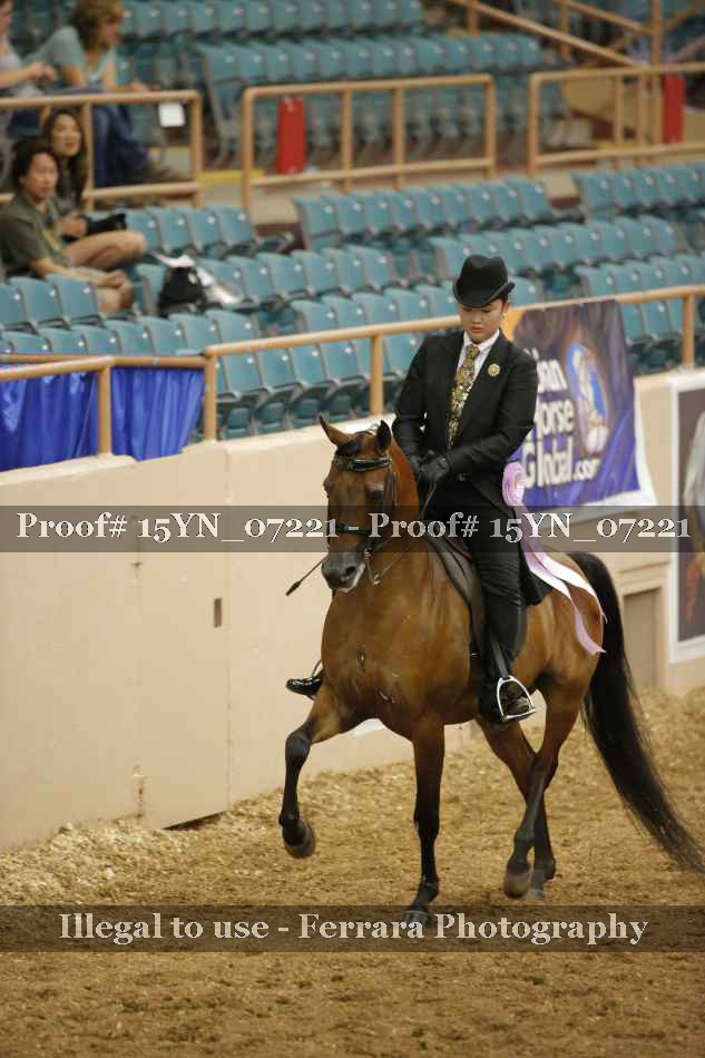 Proof 15YN_07221