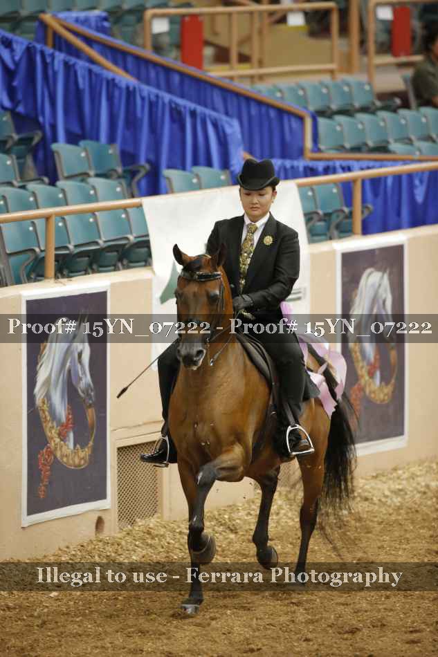 Proof 15YN_07222