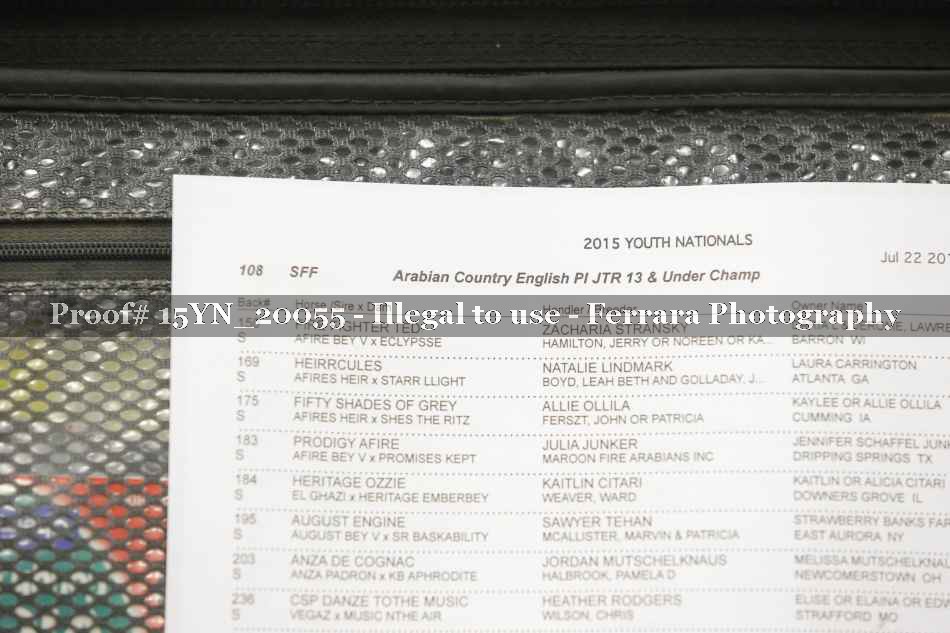 Proof 15YN_20055